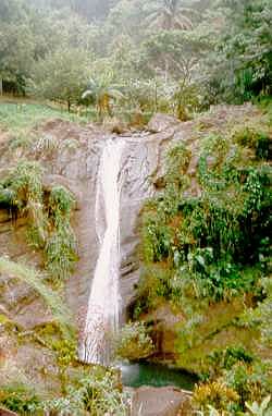 Lower Concord Falls - Grenada