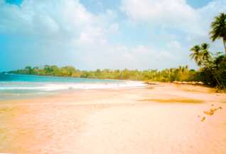 Turtle Beach Tobago