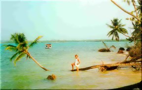 Pigeon Point Tobago