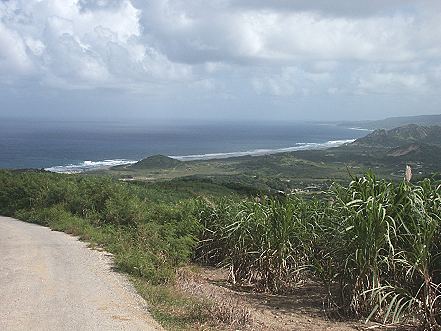 Cherry Tree Hill