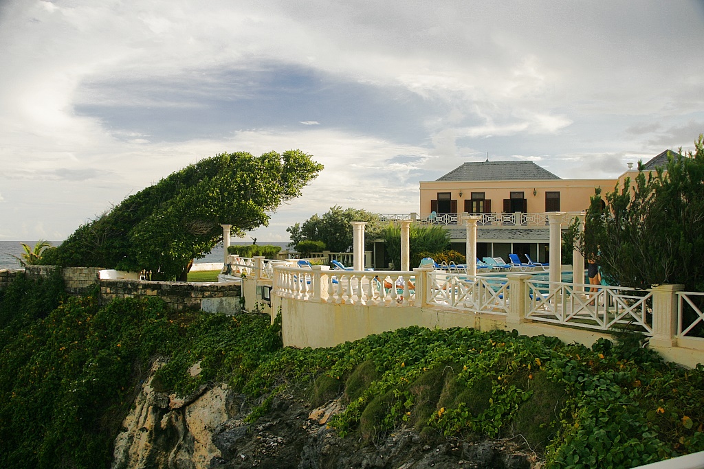 The Crane 2006