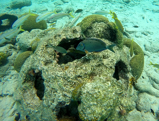 Einigerorts wurden Betonteile im Wasser versenkt