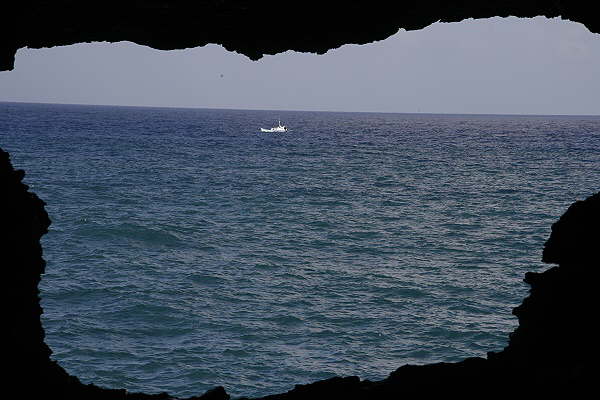 Animal Flower Cave