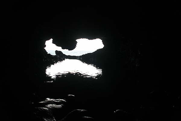 Animal Flower Cave