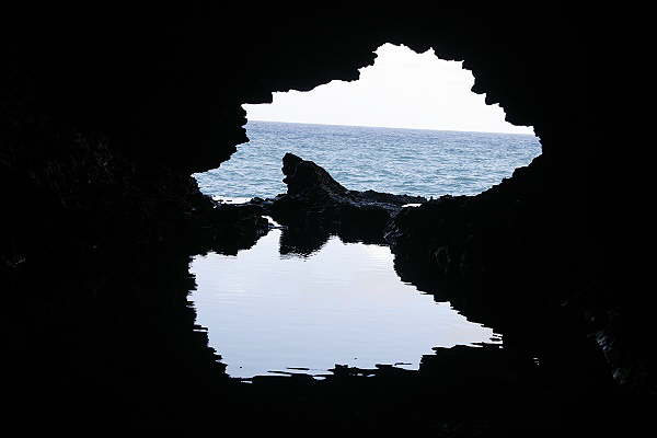 Animal Flower Cave