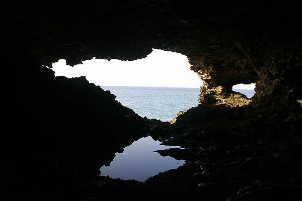 Animal Flower Cave