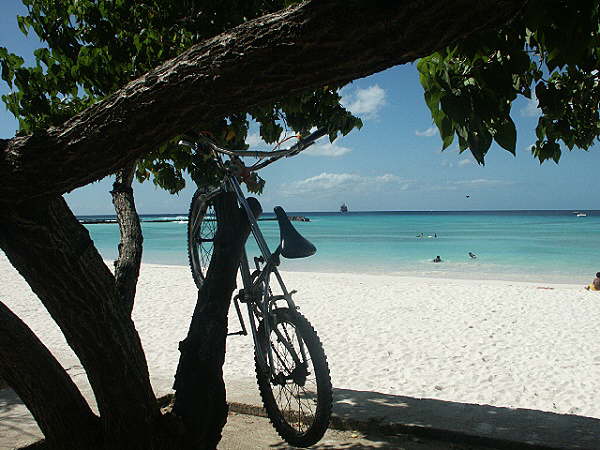 Carlisle Bay