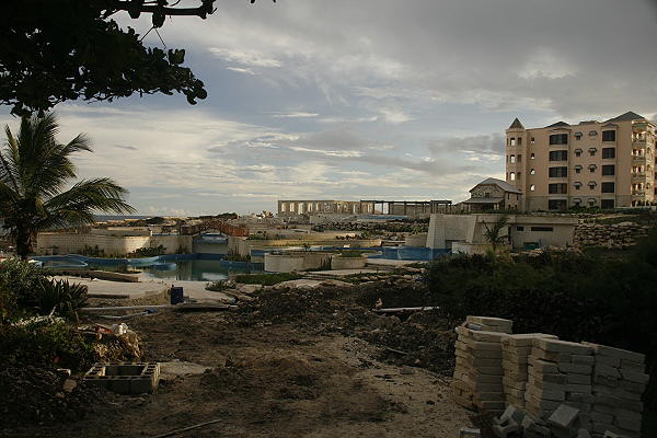 The Crane