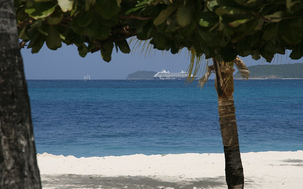 Palm Island