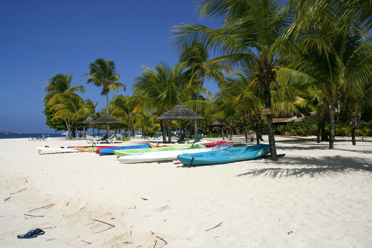 Palm Island