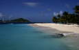 Palm Island
