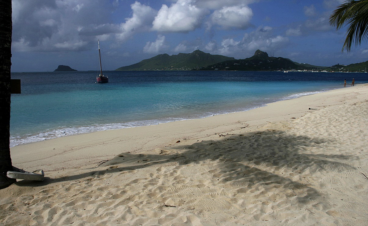 Palm Island