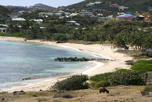 St. Martin - Coralita Beach