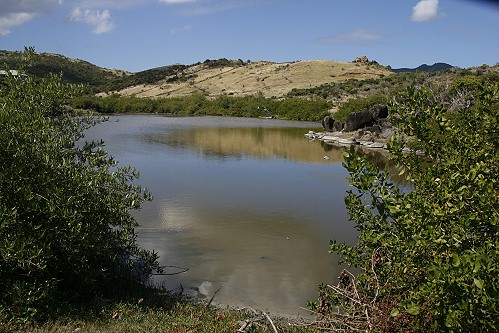 St. Martin - Coralita Beach