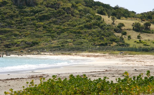 St. Maarten - Guana Bay