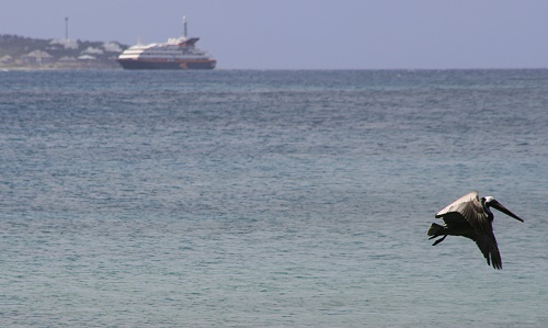 Anguilla - Crocus Bay Anguilla - Crocus Bay