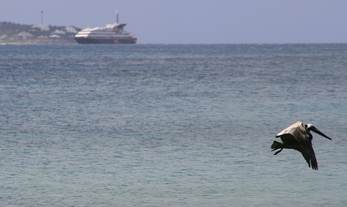 Anguilla - Crocus Bay