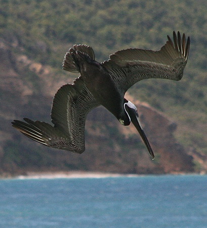 Anguilla - Crocus Bay