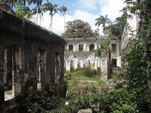 Farley Hill Barbados Farley Hill Barbados