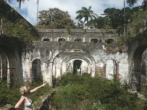 Farley Hill Barbados