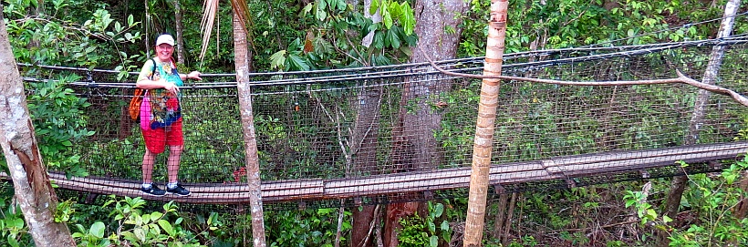 Zoo de Guadeloupe - Canope