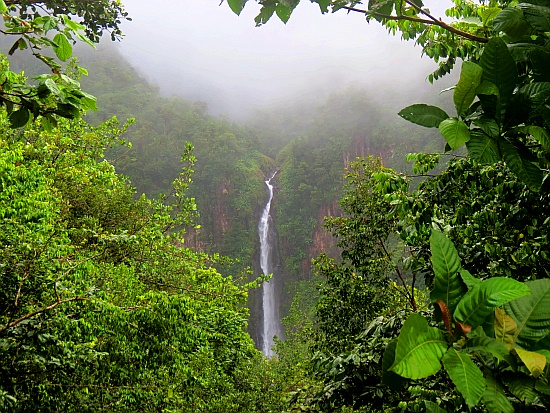 Chutes du Carbet