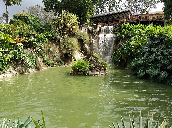 Jardin Botanique de Deshaies