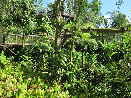 Zoo de Guadeloupe Zoo de Guadeloupe