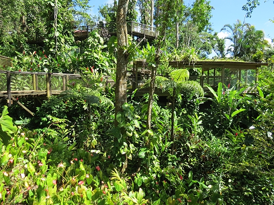 Zoo de Guadeloupe