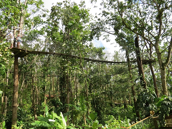 Zoo de Guadeloupe - Canopèe