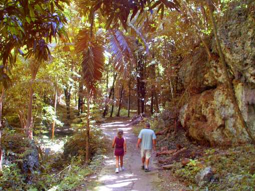 Welchman Gully - Barbados