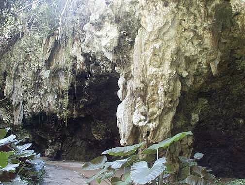 Welchman Gully - Barbados