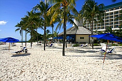 Hilotn Barbados Hilotn Barbados