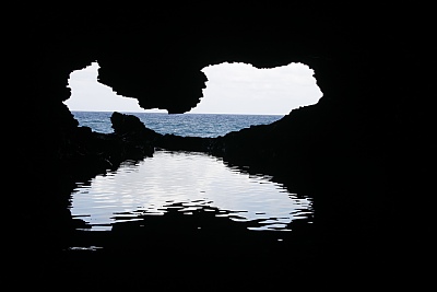 Animal Flower Cave Barbados