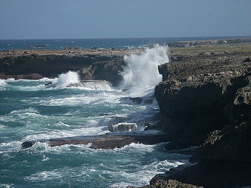Northpoint Barbados