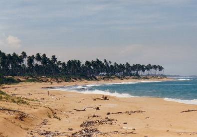 Puerto Rico Beach