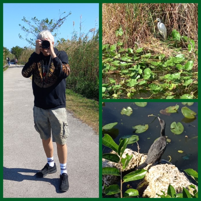 Anhinga Trail Anhinga Trail
