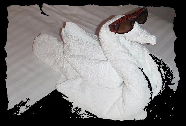 Ein Handtuchtierchen..... Ein Handtuchtierchen.....