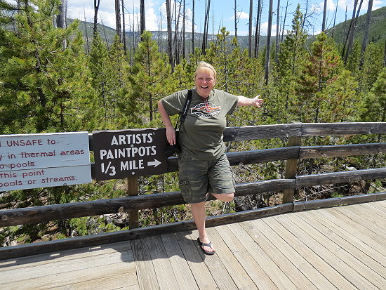 Artists Paintpots Artists Paintpots