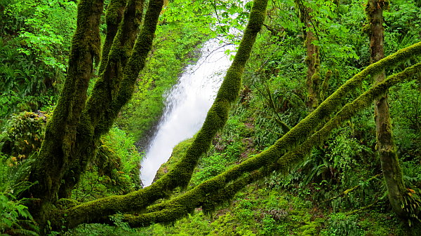 Bridal Veil Falls Bridal Veil Falls