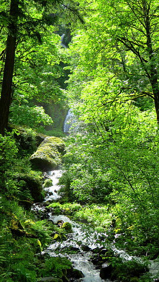 Wahkeena Falls Wahkeena Falls
