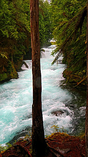 Sahalie Falls