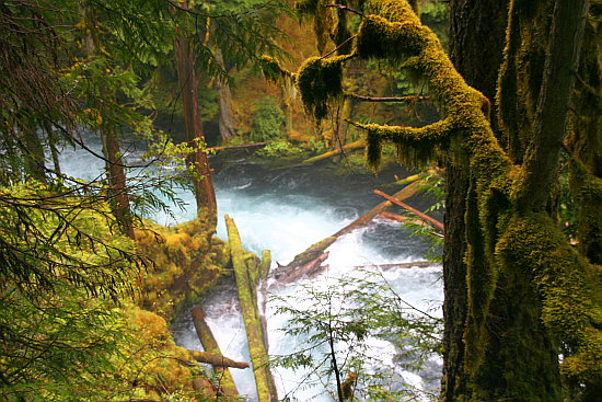 Koosah Falls