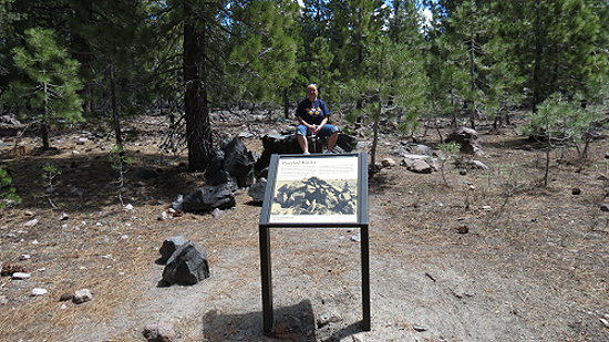 Devastated Trail