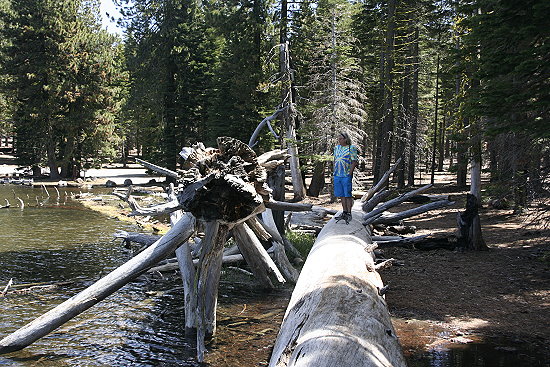 Manzanita Lake