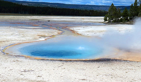Celestine Pool