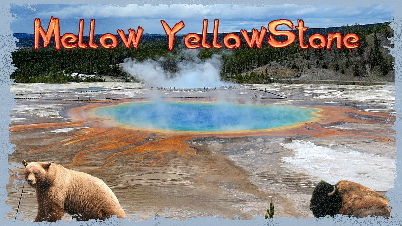 Mellow Yellowstone
