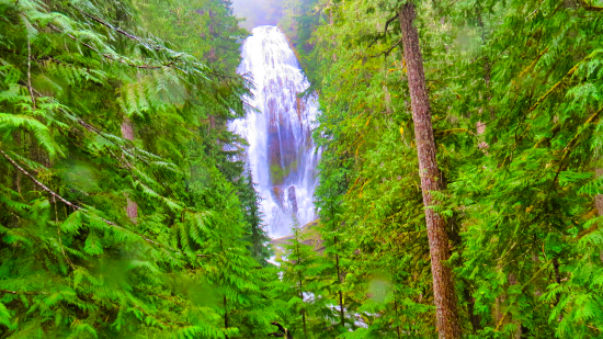 Proxy Falls Proxy Falls