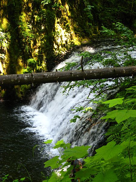 diverse Wasserfälle diverse Wasserfälle