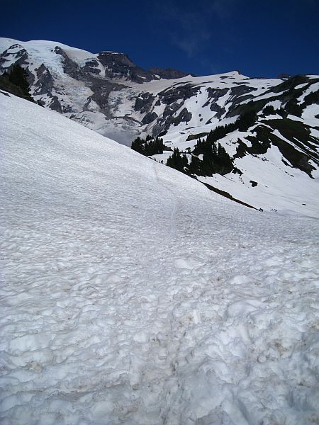 Mount Rainier